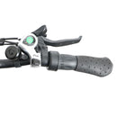 Eunorau New-Trike - electricridesonly