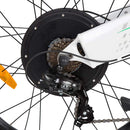 Ecotric Seagull Mountain Electric Bike - Electricridesonly.com