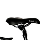 Eunorau 36V 350W E-Torque Step Through Electric Bike - electricridesonly