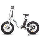 Ecotric Dolphin Portable Folding Fat Bike - Electricridesonly.com