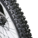 NAKTO 500W 26'' Santa Monica Electric Bike - Electricridesonly.com