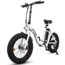 Ecotric Dolphin Portable Folding Fat Bike - Electricridesonly.com