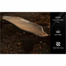 Maxfind Max4 Pro - electricridesonly