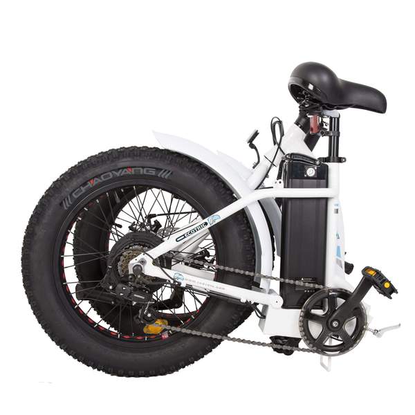 Ecotric Dolphin Portable Folding Fat Bike - Electricridesonly.com