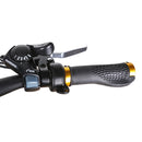 NAKTO Discovery Fat Tire Electric Bike - Electricridesonly.com