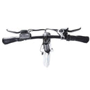 Ecotric Dolphin Portable Folding Fat Bike - Electricridesonly.com