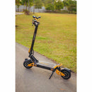 VSETT 10+ Dual Motor - Electricridesonly.com