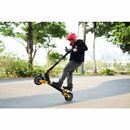 VSETT 10+ Dual Motor - Electricridesonly.com