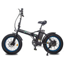 Ecotric 48V Gold Portable and Folding Fat eBike with LCD display - Electricridesonly.com