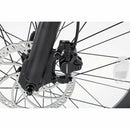 Cheetah Civibikes - Electricridesonly.com