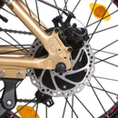 Ecotric 48V Gold Portable and Folding Fat eBike with LCD display - Electricridesonly.com