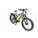 Bakcou Storm Electric Bike - Electricridesonly.com