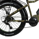 Eunorau 48V1000W FAT-HD - electricridesonly