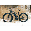 RAMBO Savage 750W - Electricridesonly.com