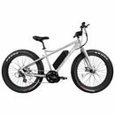 RAMBO Cruiser 500W - Electricridesonly.com