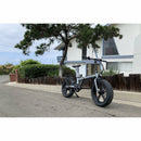 QUALISPORTS Beluga - Electricridesonly.com