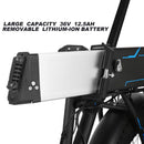 ANCHEER 500W Fat Tire Electric Mountain Bike - Electricridesonly.com