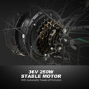 ANCHEER 26 Inch Wheel 250W Electric City Bike with Removable 36V Battery - Electricridesonly.com