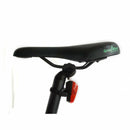 GreenBike Enduro PHAT 48 Electric Bike - Electricridesonly.com