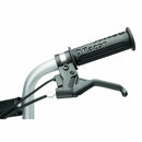 RAZOR Dirt Quad - electricridesonly