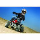 RAZOR Dirt Quad - electricridesonly
