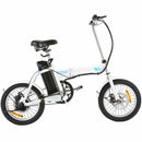 Electric Folding Bike 36V 250W 8Ah Lithium - electricridesonly