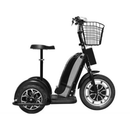 MotoTec Electric Trike 48V 800W - Electricridesonly.com
