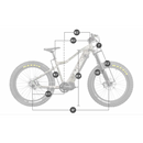 RAMBO Venom 1000 XPR Electric Bike - Electricridesonly.com
