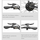 RAMBO Rooster 750 20" Electric Bike - Electricridesonly.com