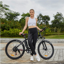 VIVI 26 Inch Wheel 350W Electric Cruiser Electric Bike - Electricridesonly.com