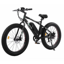 Ecotric Fat Tire Beach Snow Electric Bike - Electricridesonly.com