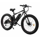 Ecotric Fat Tire Beach Snow Electric Bike - Electricridesonly.com