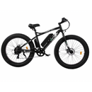 Ecotric Fat Tire Beach Snow Electric Bike - Electricridesonly.com