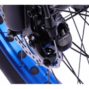 Ecotric Fat Tire Beach Snow Electric Bike - Electricridesonly.com