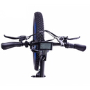 Ecotric Fat Tire Beach Snow Electric Bike - Electricridesonly.com