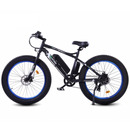 Ecotric Fat Tire Beach Snow Electric Bike - Electricridesonly.com