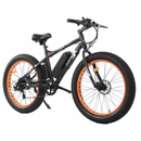 Ecotric Fat Tire Beach Snow Electric Bike - Electricridesonly.com