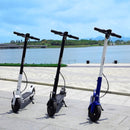 AnyHill UM-1 High-performance Portable Electric Scooter - electricridesonly