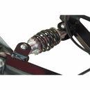 EW-19 eWheels Mobility Scooter - Electricridesonly.com