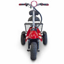 EW-19 eWheels Mobility Scooter - Electricridesonly.com