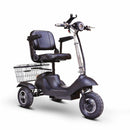 EW-20 Mobility Scooter - Electricridesonly.com