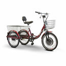 EW-29 eWheels Mobility Scooter - Electricridesonly.com