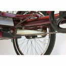 EW-29 eWheels Mobility Scooter - Electricridesonly.com