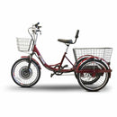 EW-29 eWheels Mobility Scooter - Electricridesonly.com