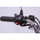 EW-Bugeye eWheels Mobility Scooter - Electricridesonly.com