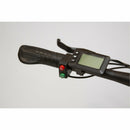 EW-Rugged eWheels Electric Bike - Electricridesonly.com