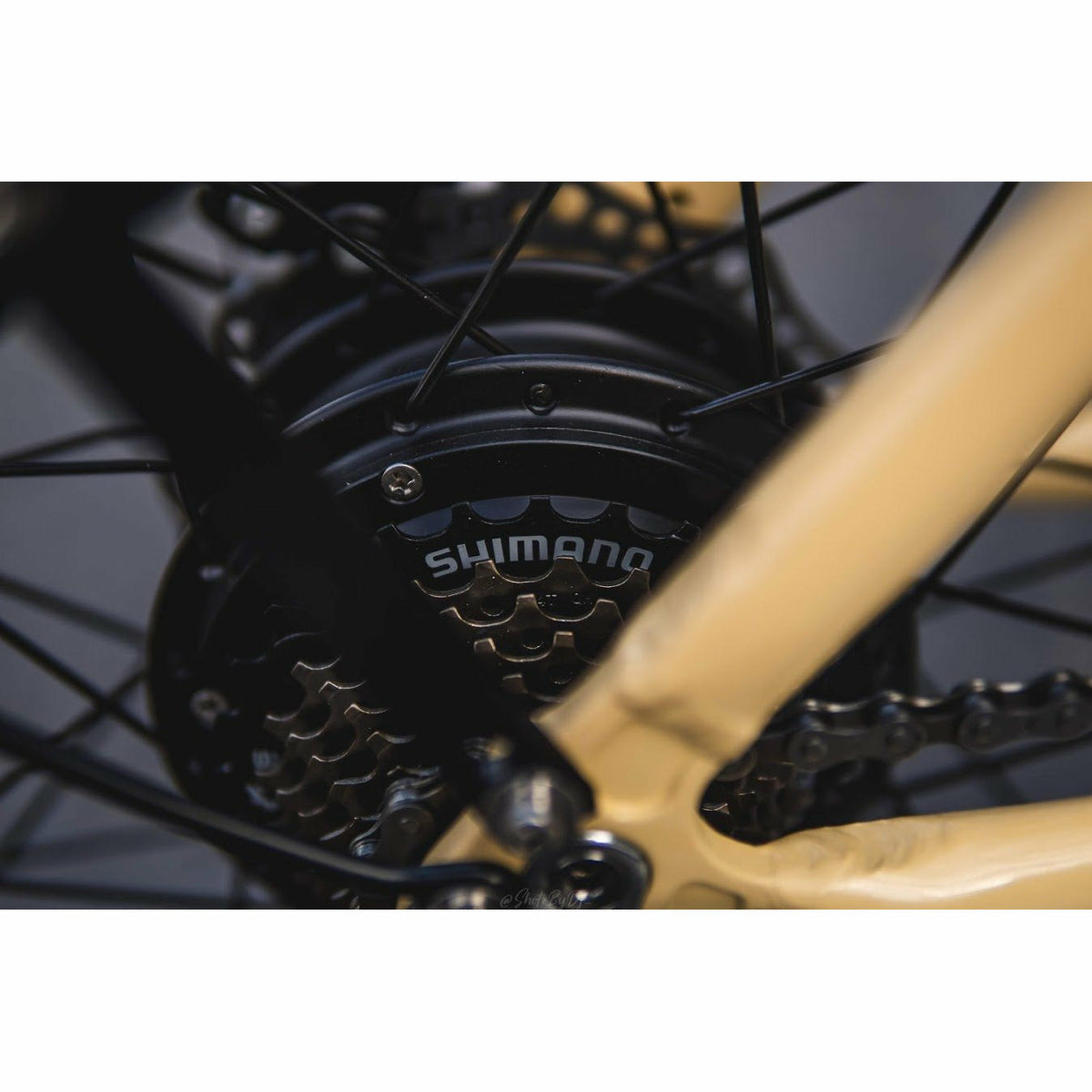 Veller 2021 Electric Cruiser - Electricridesonly.com