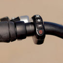 Eunorau The 24" City Tire Model G20-Cargo E-Bike - electricridesonly