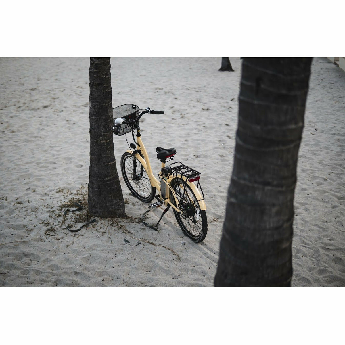 Veller 2021 Electric Cruiser - Electricridesonly.com