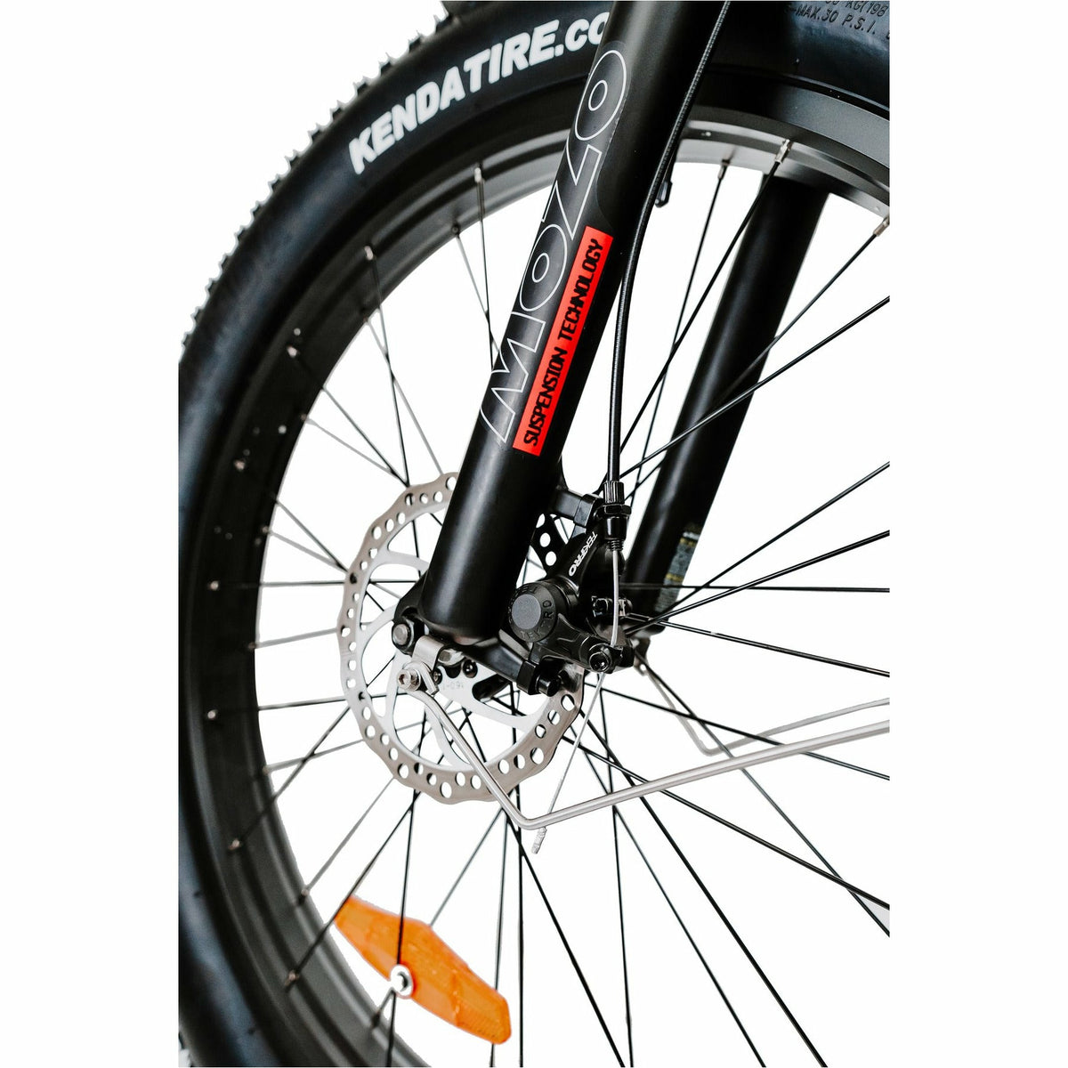 American Electric Steller 2021 - Electricridesonly.com